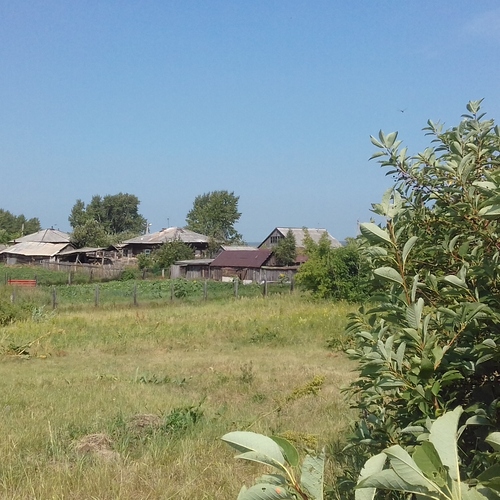 Photo #13782385