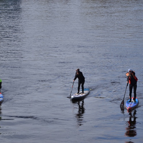 Photo #13782420