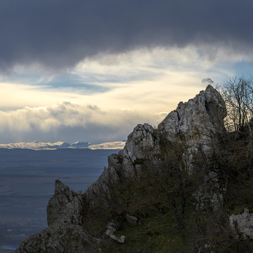 Photo #13782424