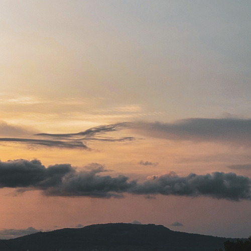 Photo #13782426