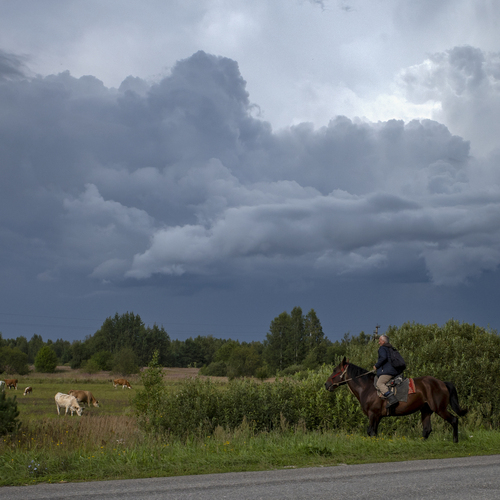 Photo #13782469