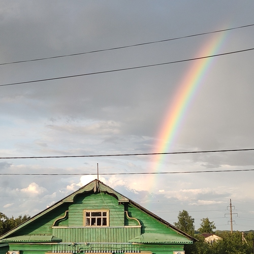 Photo #13782478
