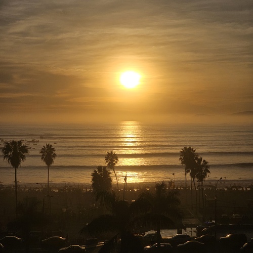 Photo #13782523