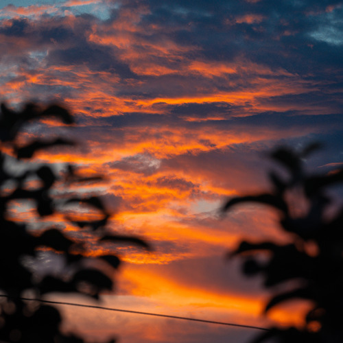 Photo #13782611