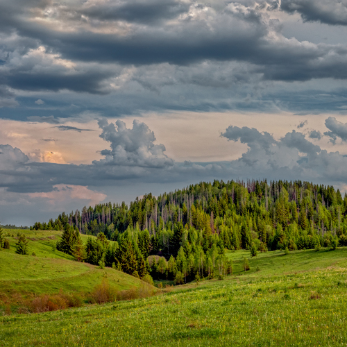 Photo #13782630