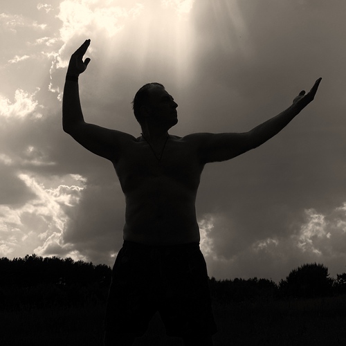 Photo #13782644