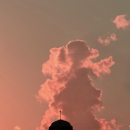 Photo #13782645