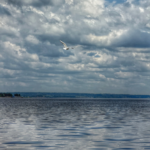 Photo #13782646