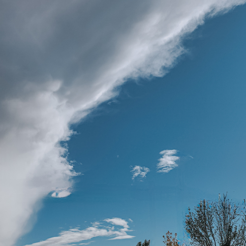 Photo #13782647