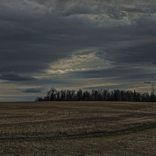 Photo #13782673