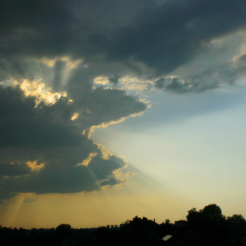 Photo #13782674