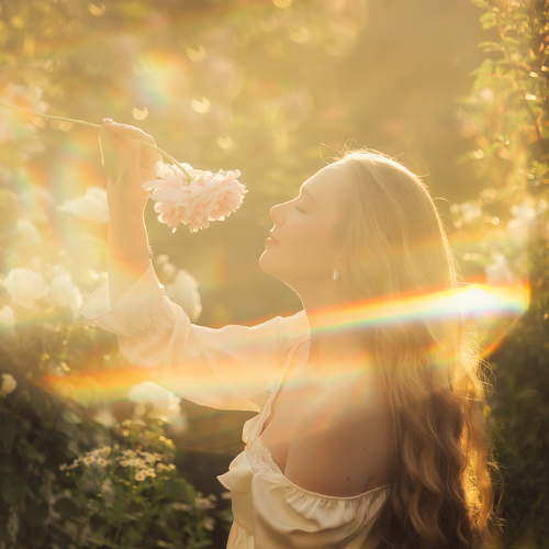 Photo #13782688