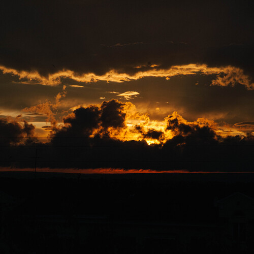 Photo #13782692