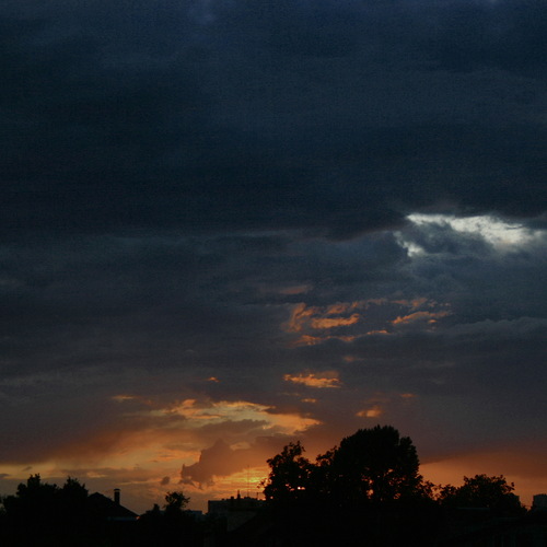 Photo #13782696