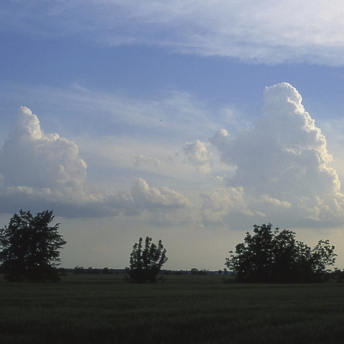 Photo #13782756
