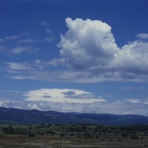 Photo #13782757