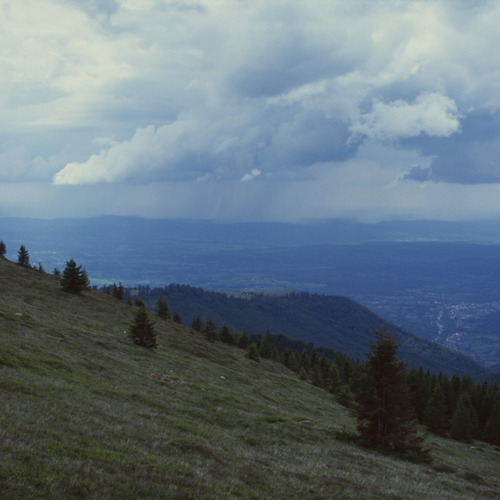 Photo #13782758