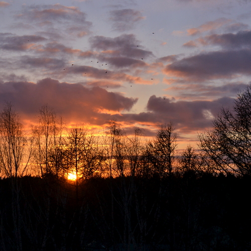 Photo #13782767