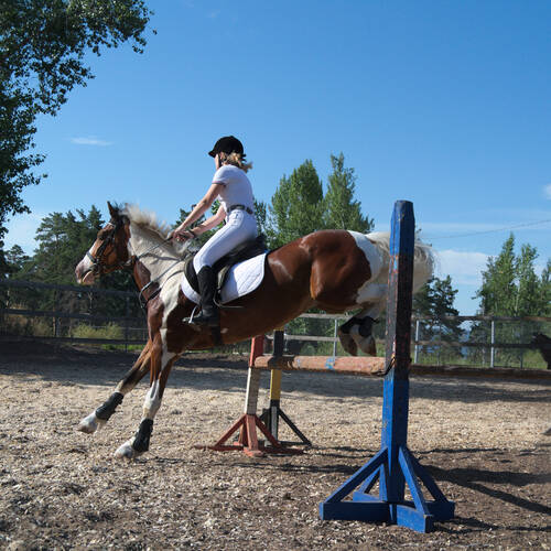Photo #13782833