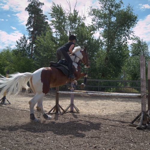 Photo #13782835