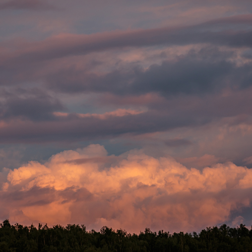 Photo #13782862