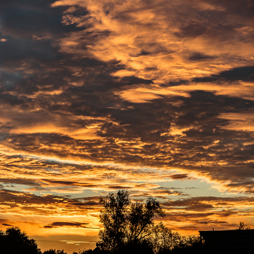 Photo #13782863