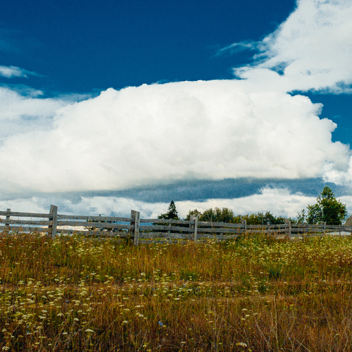 Photo #13782885