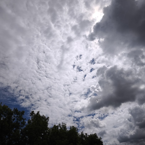 Photo #13782923
