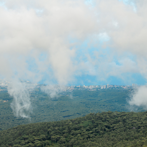 Photo #13782942