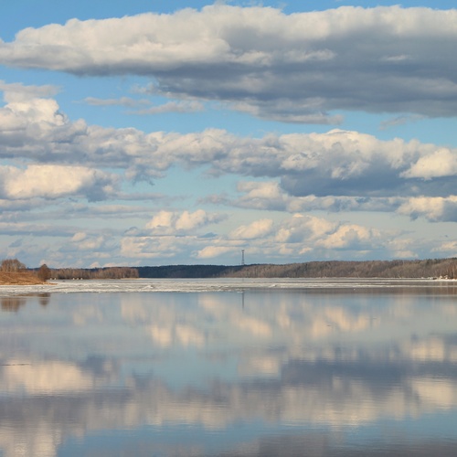 Photo #13782957
