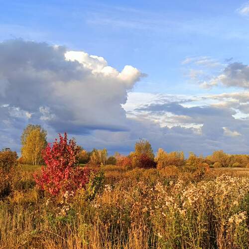 Photo #13783056