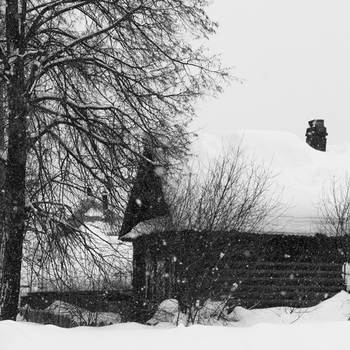 Photo #13783061