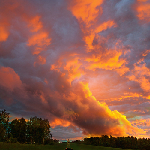 Photo #13783081