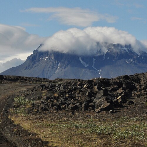 Photo #13783185