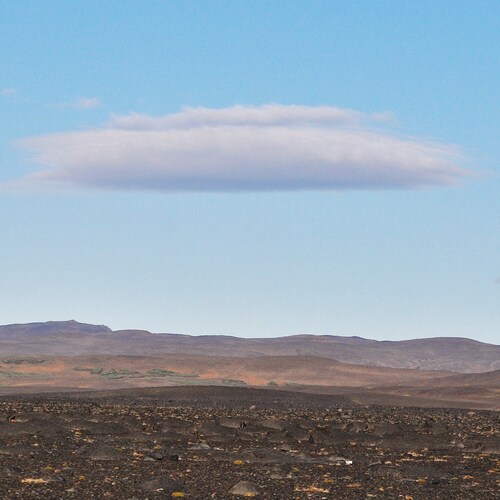 Photo #13783187