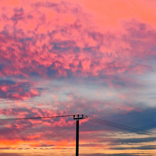 Photo #13783190