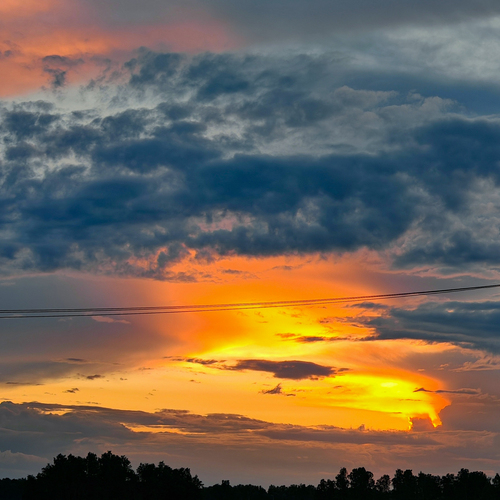 Photo #13783214