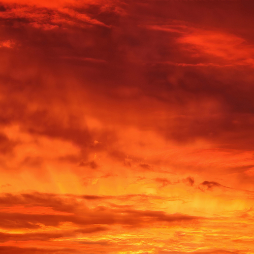 Photo #13783220
