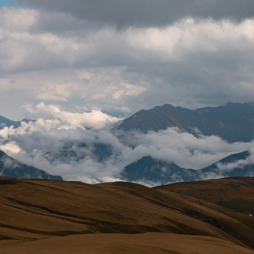 Photo #13783279