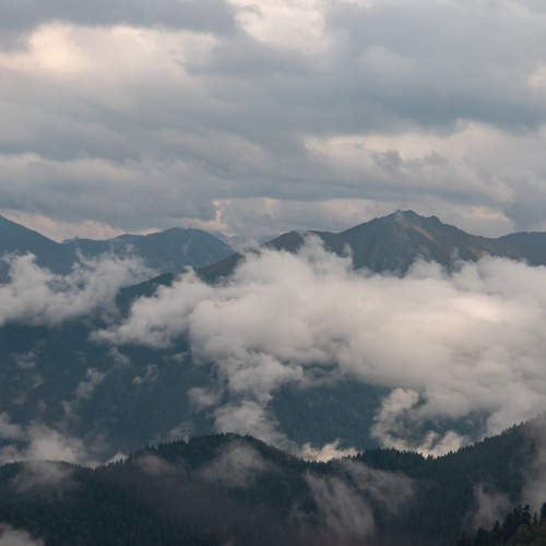 Photo #13783283