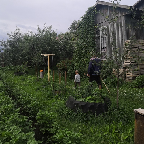 Photo #13783393