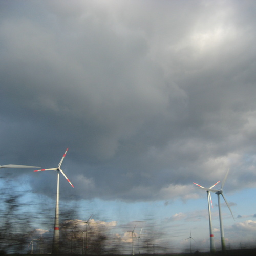 Photo #13783420