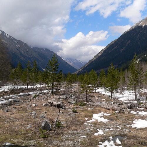 Photo #13783421