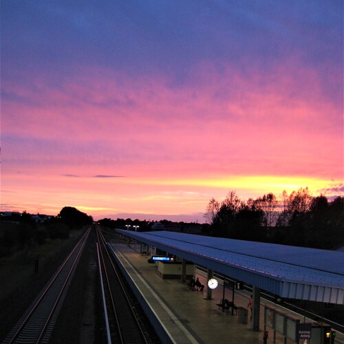 Photo #13783426