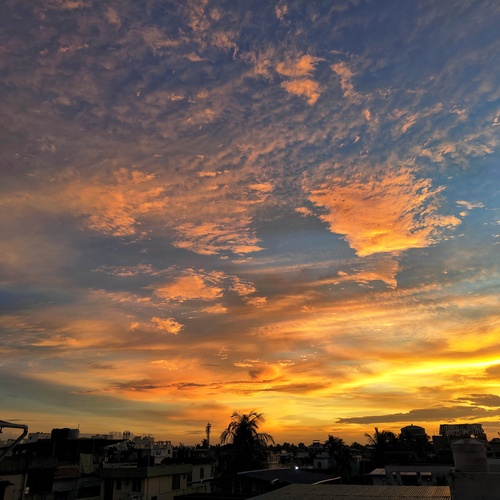 Photo #13783607