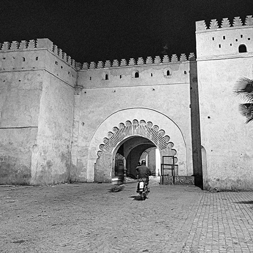 Photo #13783669