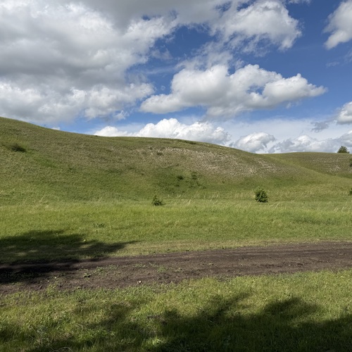 Photo #13783676