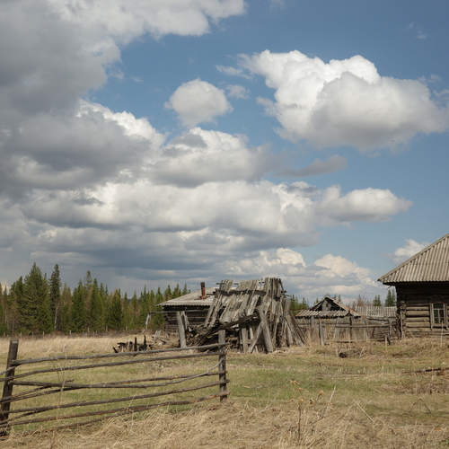 Photo #13783685