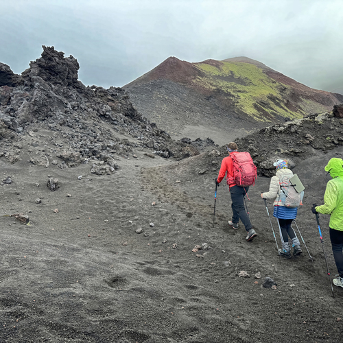 Photo #13783804