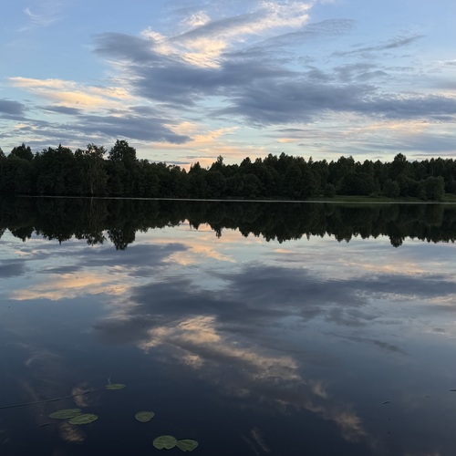 Photo #13783815
